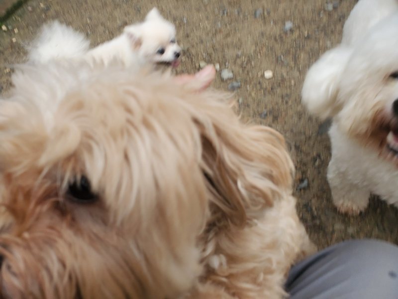 f:id:roukenhome-ann:20191019123821j:plain