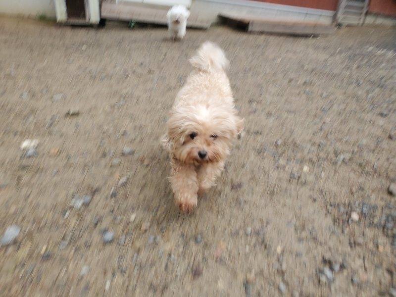 f:id:roukenhome-ann:20191019123826j:plain