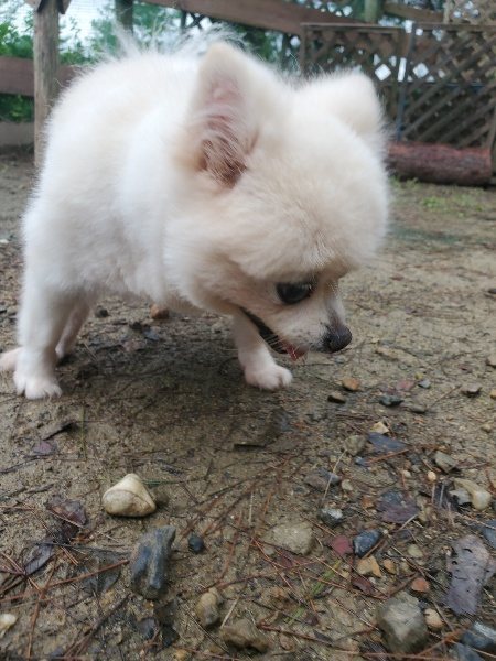 f:id:roukenhome-ann:20191019123841j:plain