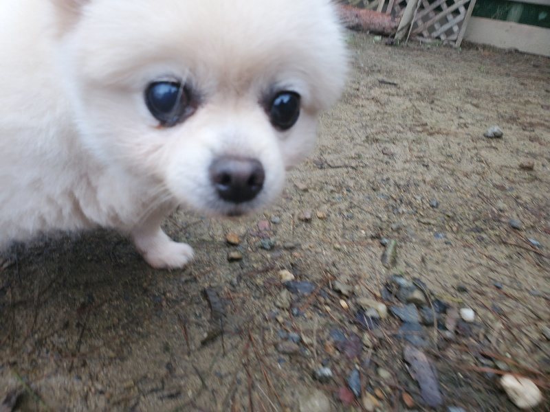 f:id:roukenhome-ann:20191019123945j:plain