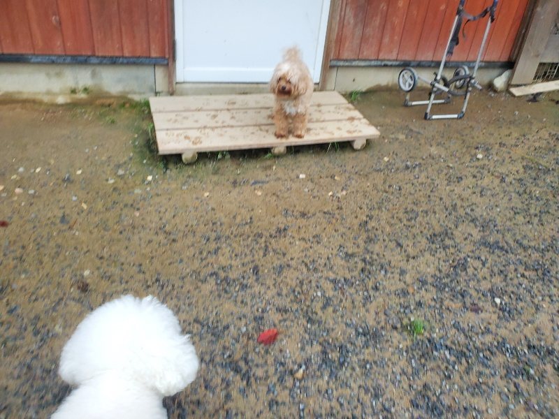 f:id:roukenhome-ann:20191019124005j:plain