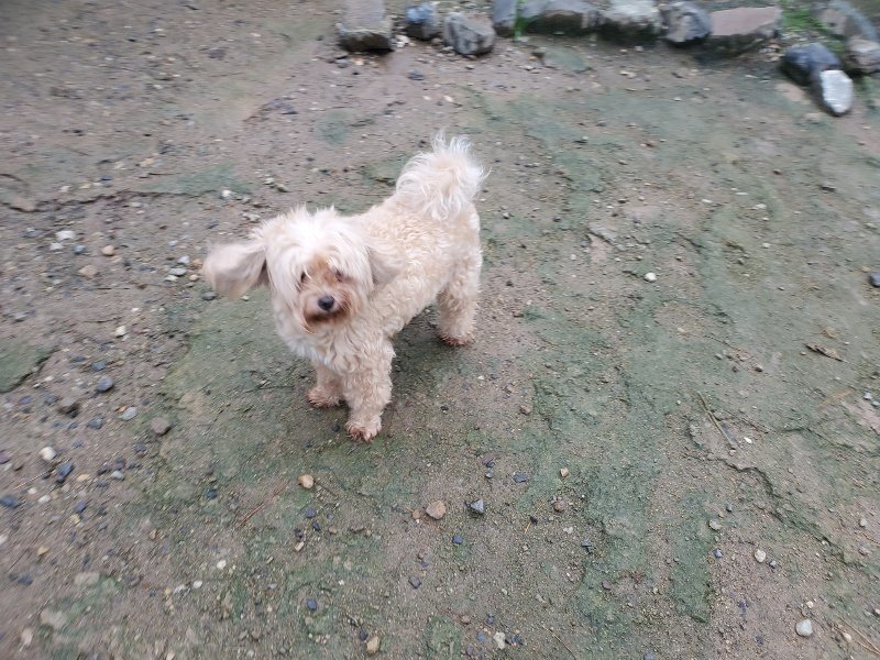 f:id:roukenhome-ann:20191019134726j:plain