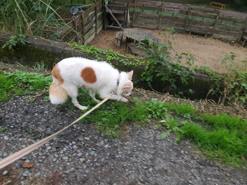 f:id:roukenhome-ann:20191019134800j:plain