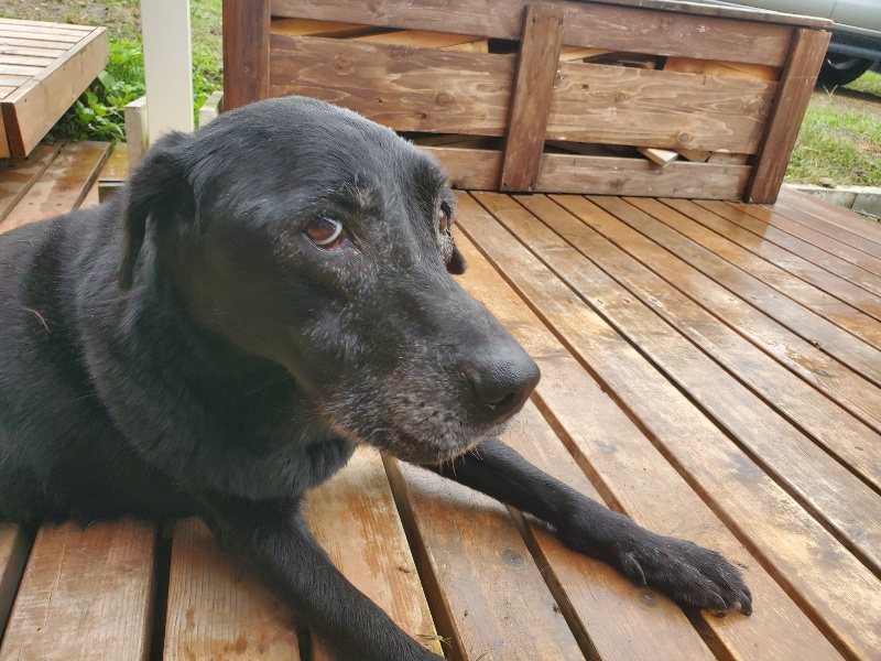 f:id:roukenhome-ann:20191019134941j:plain