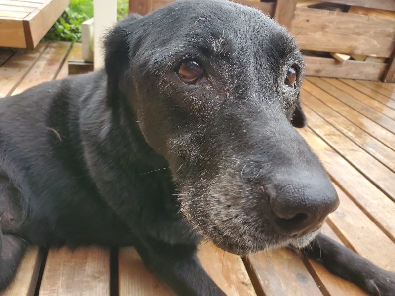 f:id:roukenhome-ann:20191019134948j:plain