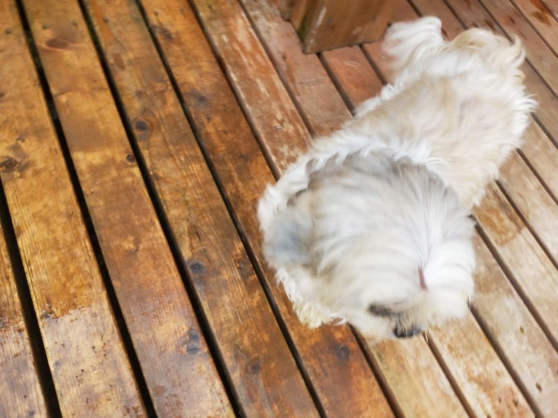 f:id:roukenhome-ann:20191019135005j:plain