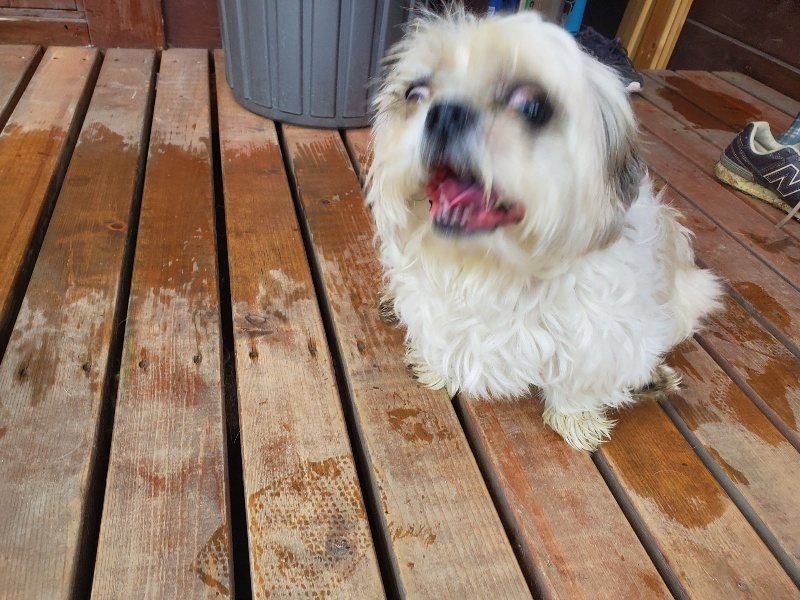 f:id:roukenhome-ann:20191019135018j:plain