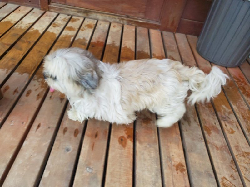 f:id:roukenhome-ann:20191019135027j:plain