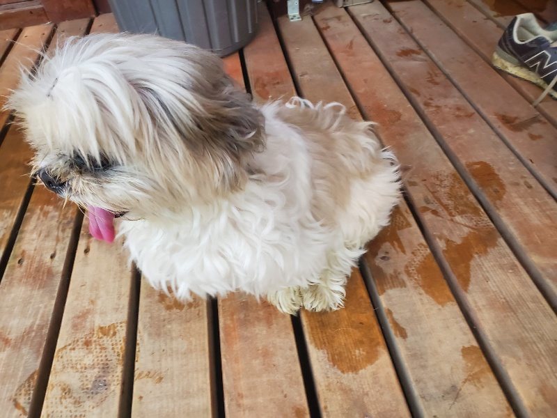 f:id:roukenhome-ann:20191019135039j:plain