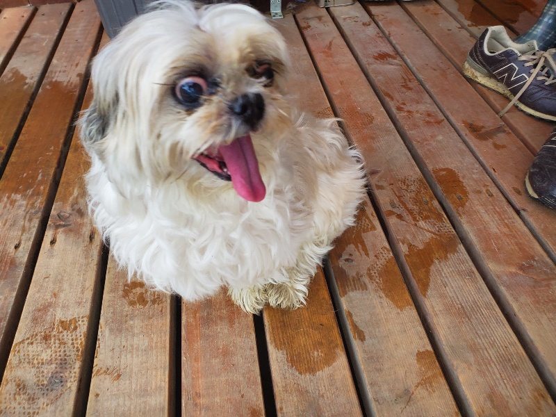 f:id:roukenhome-ann:20191019135050j:plain