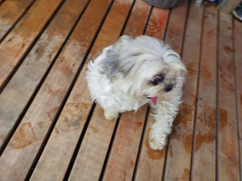 f:id:roukenhome-ann:20191019135133j:plain