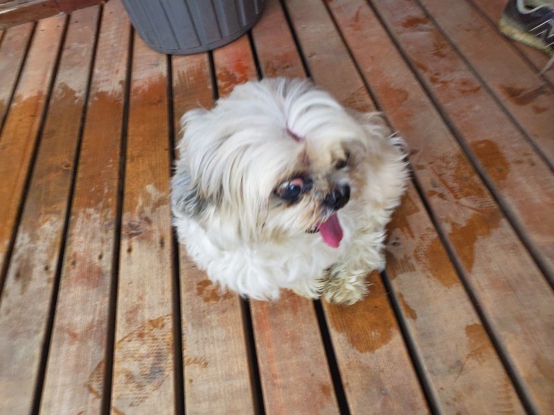 f:id:roukenhome-ann:20191019135205j:plain