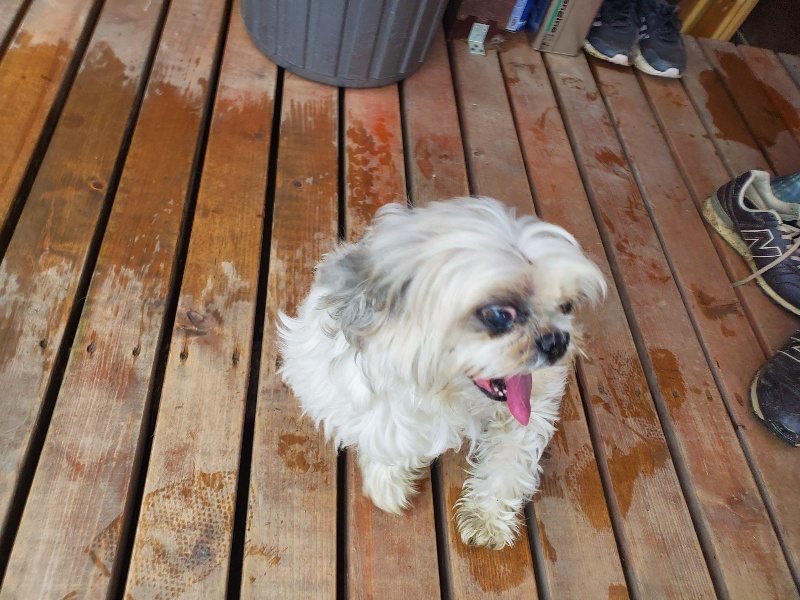 f:id:roukenhome-ann:20191019135214j:plain