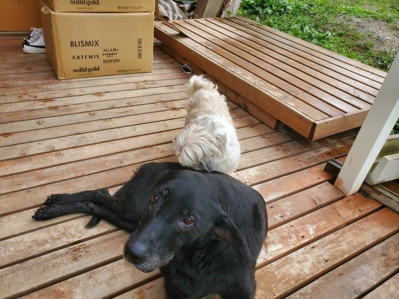 f:id:roukenhome-ann:20191019135303j:plain
