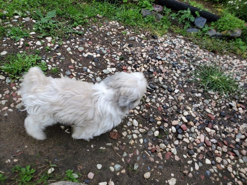 f:id:roukenhome-ann:20191019135733j:plain