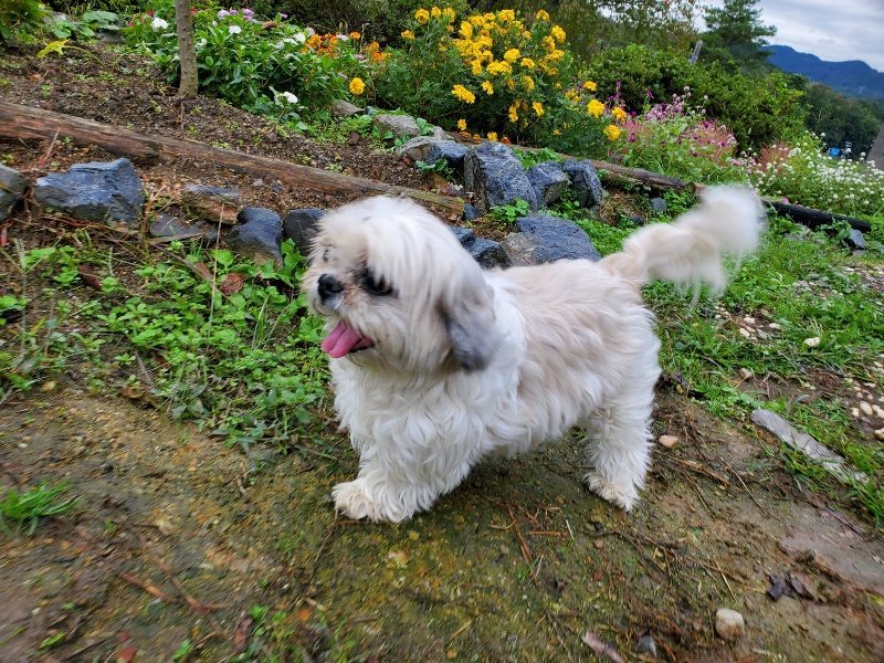 f:id:roukenhome-ann:20191019135748j:plain