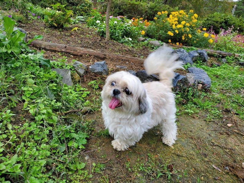 f:id:roukenhome-ann:20191019135800j:plain