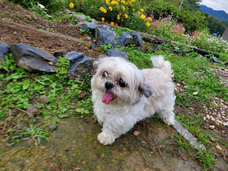 f:id:roukenhome-ann:20191019135815j:plain