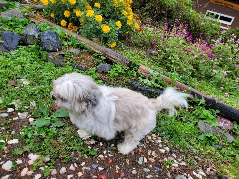f:id:roukenhome-ann:20191019135824j:plain
