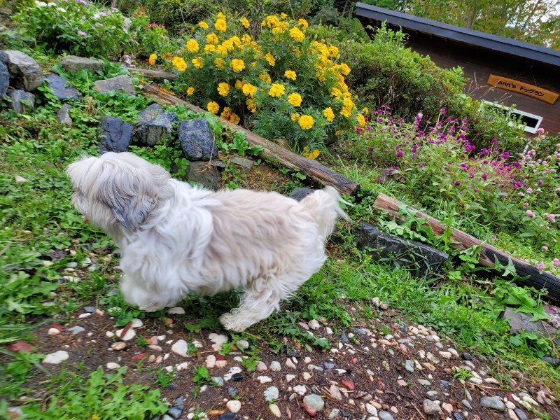 f:id:roukenhome-ann:20191019135832j:plain
