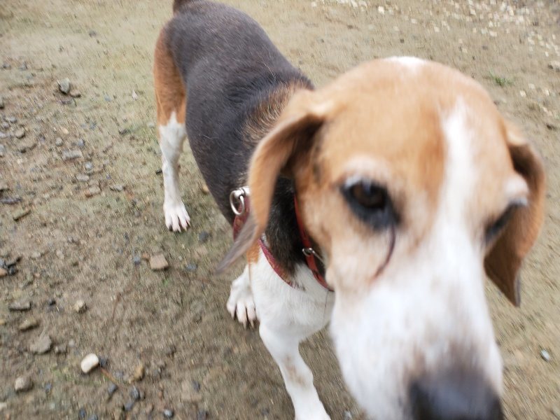 f:id:roukenhome-ann:20191019140022j:plain
