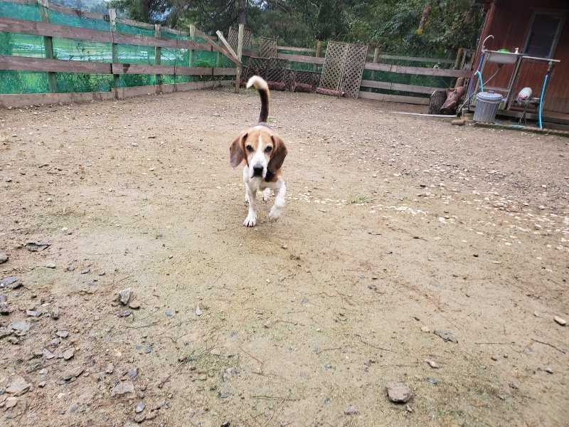 f:id:roukenhome-ann:20191019140043j:plain