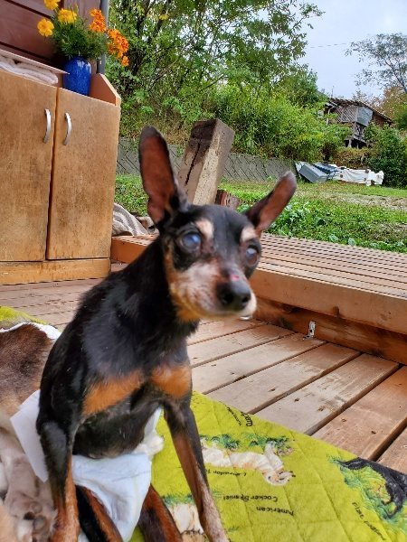 f:id:roukenhome-ann:20191019152421j:plain