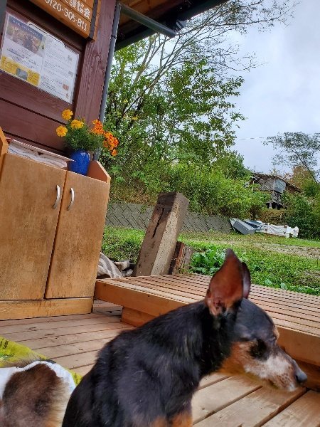 f:id:roukenhome-ann:20191019152428j:plain