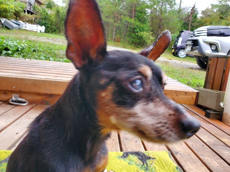 f:id:roukenhome-ann:20191019152455j:plain