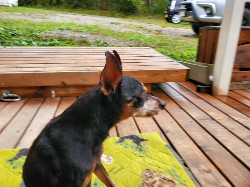 f:id:roukenhome-ann:20191019152503j:plain
