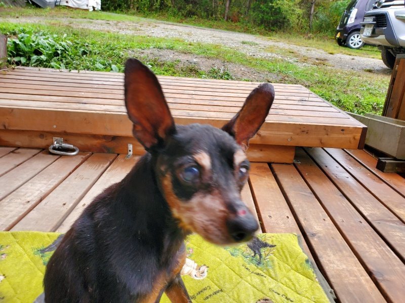 f:id:roukenhome-ann:20191019152508j:plain