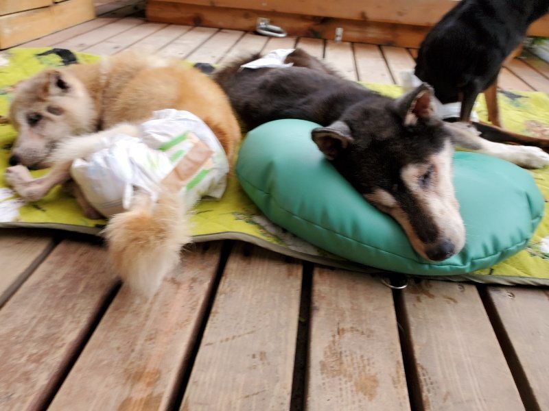 f:id:roukenhome-ann:20191019152514j:plain
