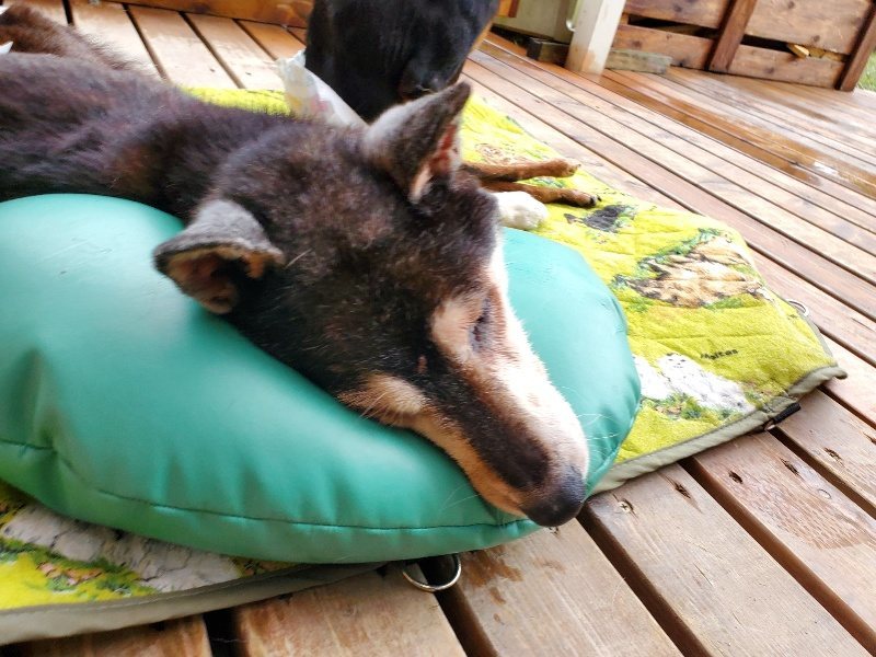 f:id:roukenhome-ann:20191019152601j:plain