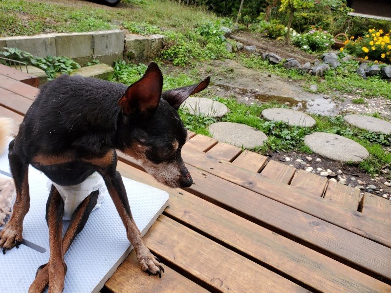 f:id:roukenhome-ann:20191019170845j:plain