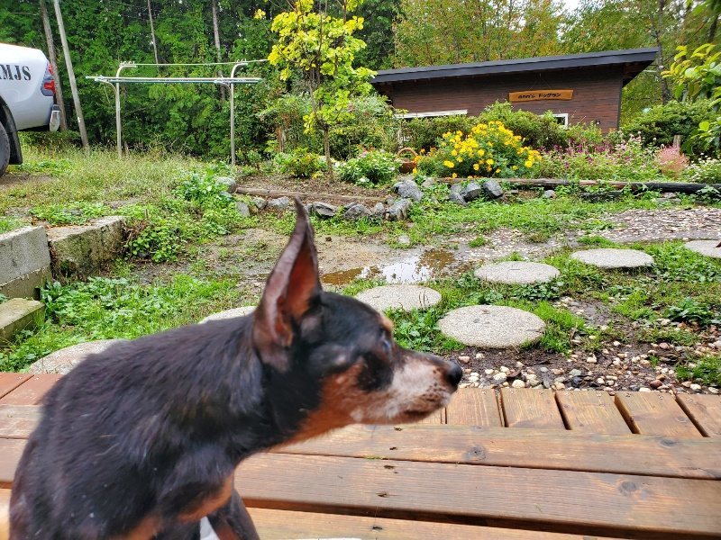 f:id:roukenhome-ann:20191019170918j:plain