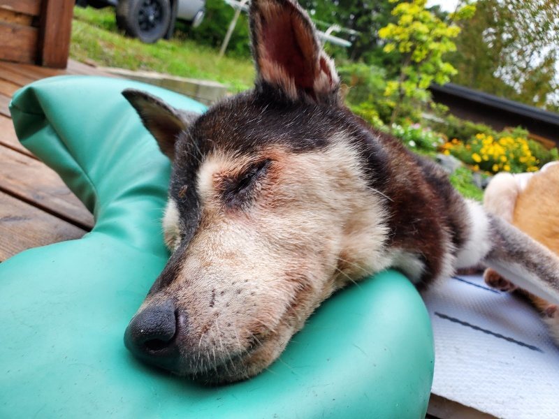 f:id:roukenhome-ann:20191019170946j:plain