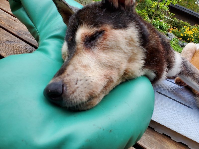 f:id:roukenhome-ann:20191019170952j:plain