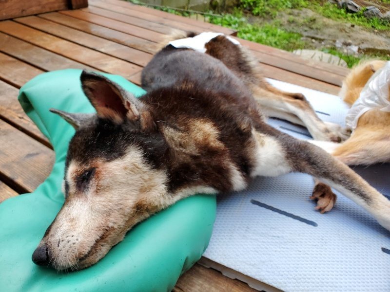 f:id:roukenhome-ann:20191019171013j:plain