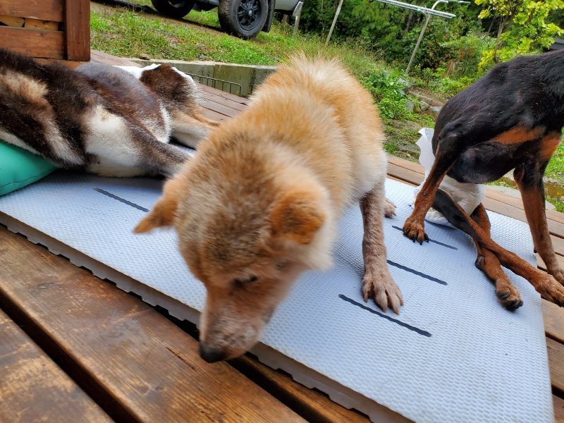 f:id:roukenhome-ann:20191019171110j:plain
