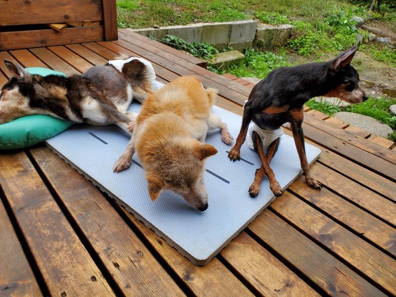 f:id:roukenhome-ann:20191019171123j:plain