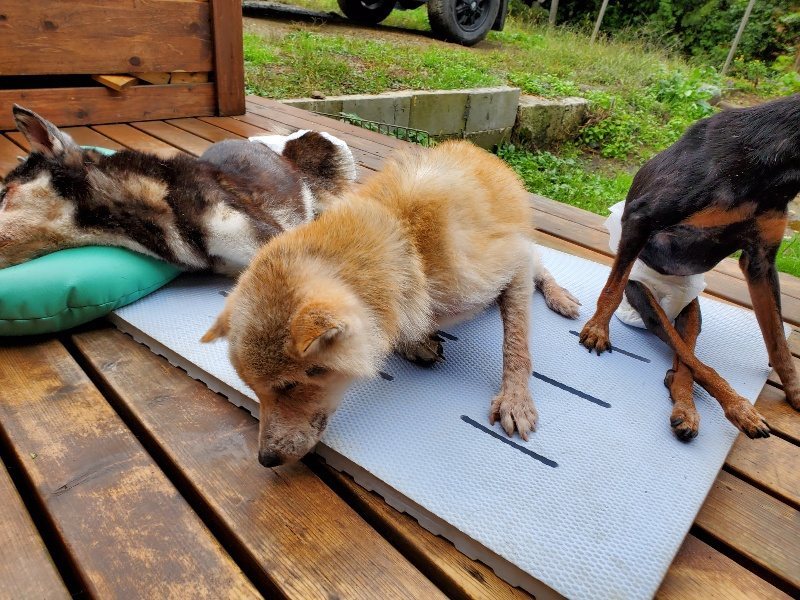 f:id:roukenhome-ann:20191019171131j:plain