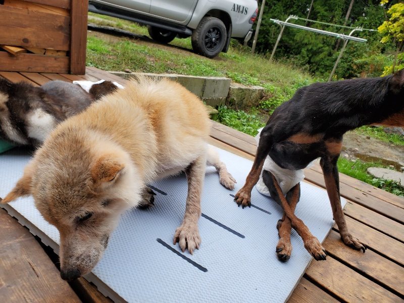 f:id:roukenhome-ann:20191019171151j:plain