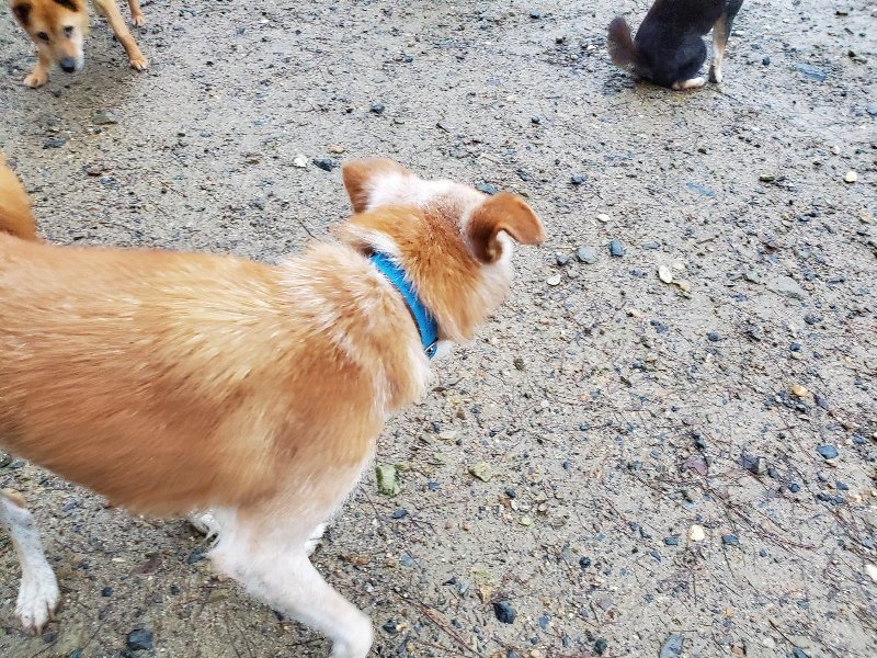 f:id:roukenhome-ann:20191019173216j:plain