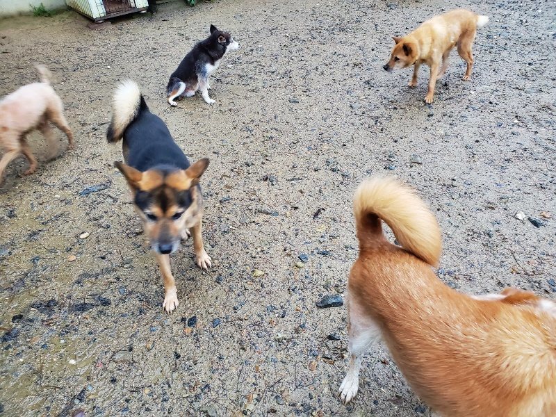 f:id:roukenhome-ann:20191019173229j:plain