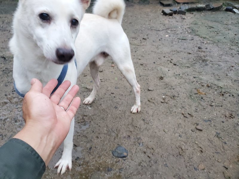 f:id:roukenhome-ann:20191019173237j:plain