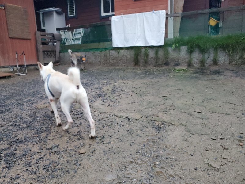 f:id:roukenhome-ann:20191019173246j:plain