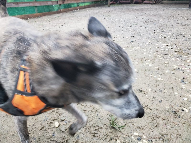 f:id:roukenhome-ann:20191019173252j:plain