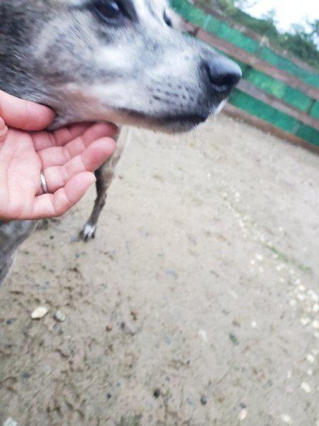 f:id:roukenhome-ann:20191019173258j:plain