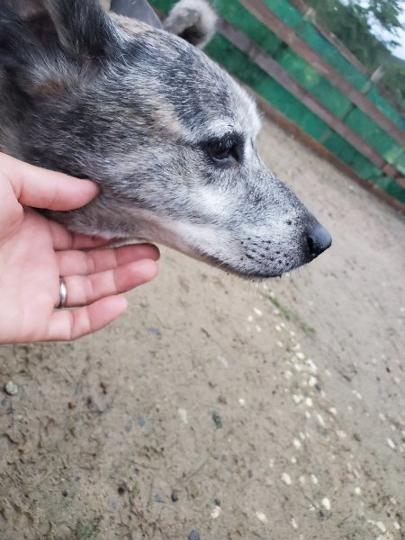 f:id:roukenhome-ann:20191019173305j:plain