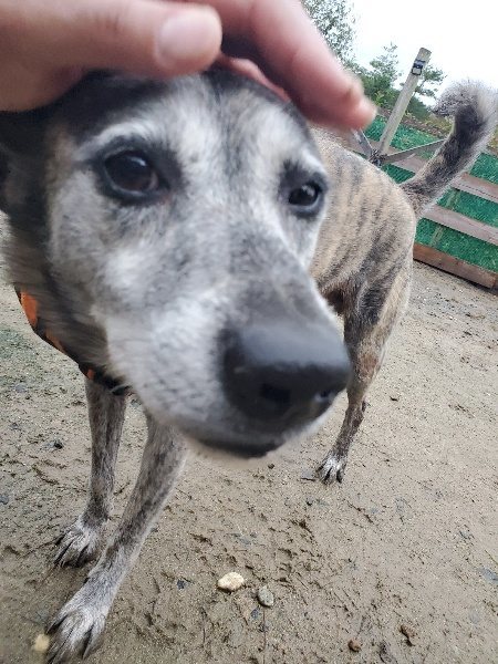 f:id:roukenhome-ann:20191019173322j:plain